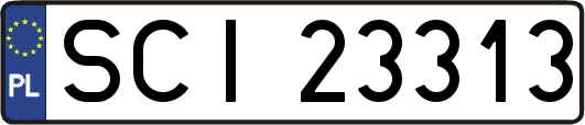 SCI23313