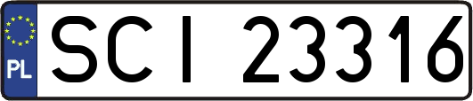 SCI23316