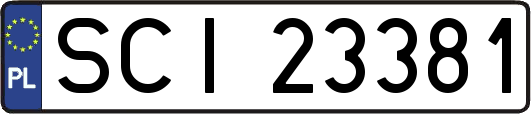 SCI23381