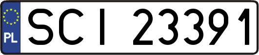 SCI23391