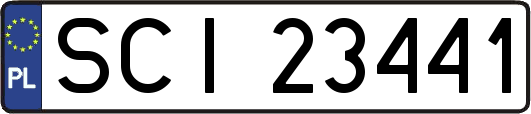 SCI23441
