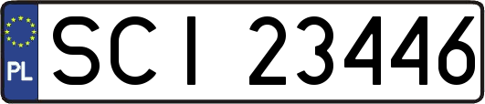 SCI23446