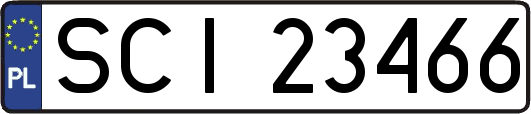 SCI23466