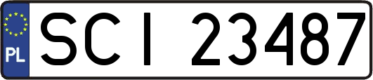 SCI23487