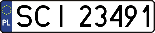 SCI23491