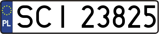 SCI23825