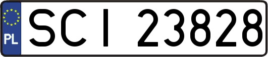 SCI23828