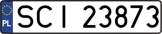 SCI23873