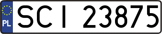 SCI23875