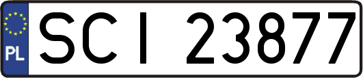 SCI23877