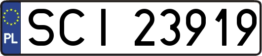 SCI23919