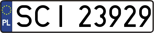 SCI23929