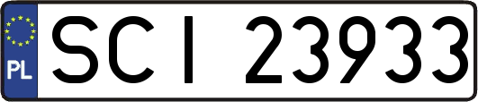 SCI23933