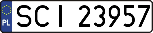 SCI23957