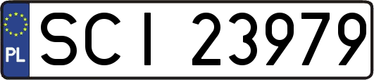 SCI23979