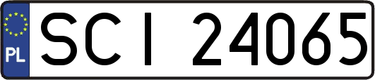 SCI24065