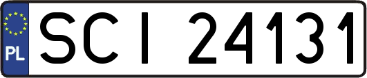SCI24131