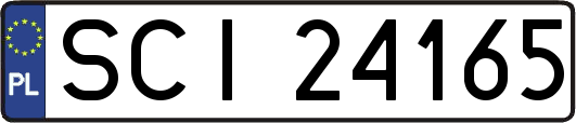 SCI24165