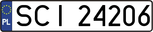 SCI24206