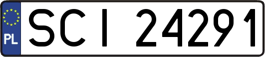SCI24291