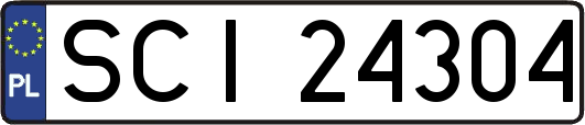 SCI24304