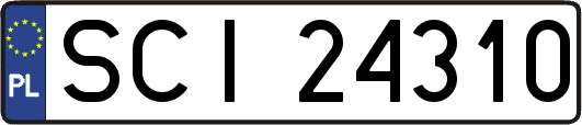 SCI24310