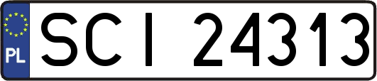 SCI24313