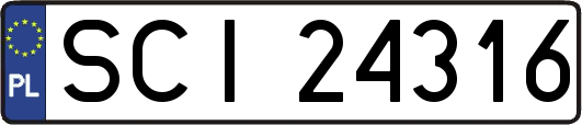 SCI24316