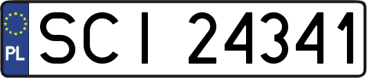 SCI24341