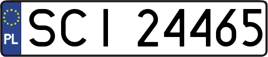 SCI24465