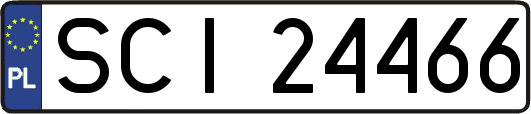 SCI24466