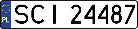 SCI24487