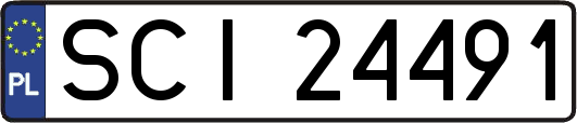 SCI24491
