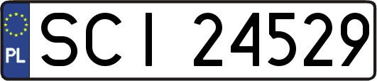 SCI24529