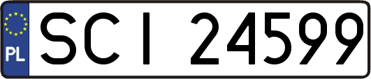 SCI24599