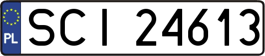 SCI24613