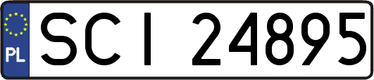 SCI24895