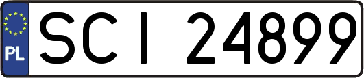 SCI24899