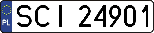 SCI24901