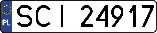 SCI24917