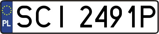 SCI2491P
