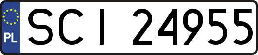 SCI24955