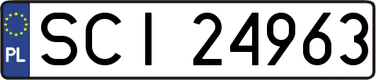 SCI24963