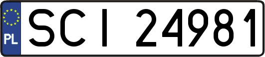 SCI24981