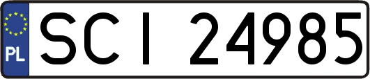 SCI24985