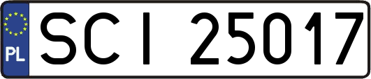 SCI25017