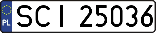 SCI25036