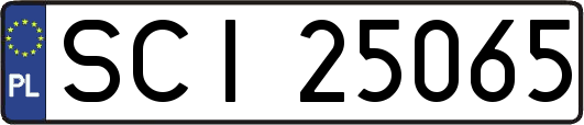 SCI25065