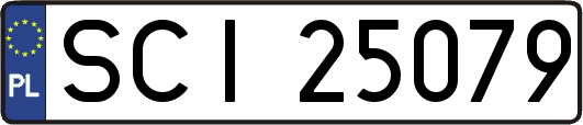 SCI25079