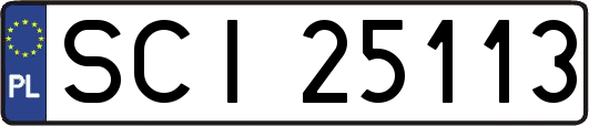 SCI25113